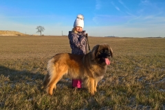 WP_20161204_14_46_53_Pro