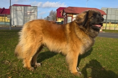 WP_20170315_16_14_45_Pro